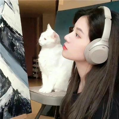 基督山之子